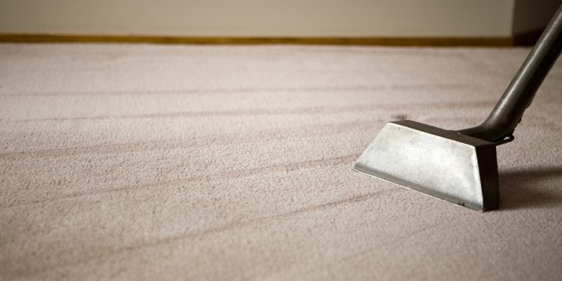 How Often Should You Schedule Professional Carpet Cleaning?