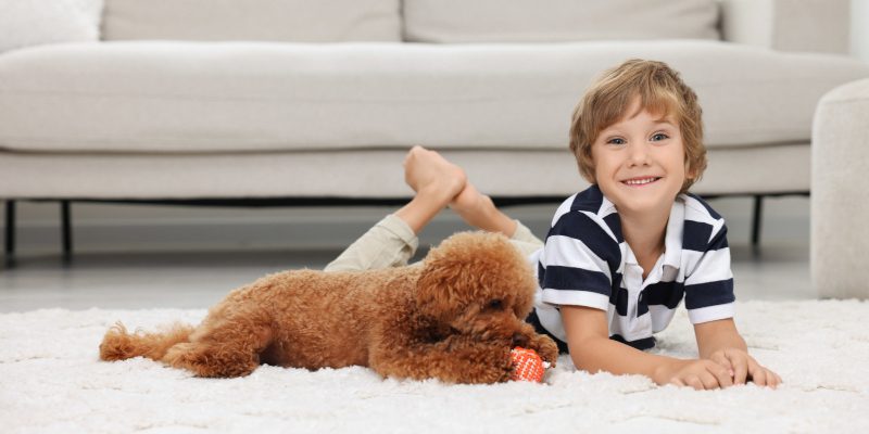 Keep the floors clean and healthy